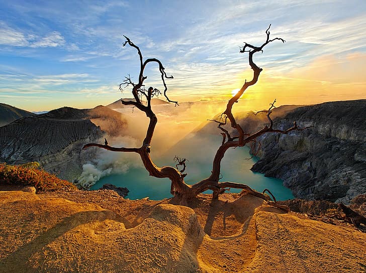 Danau Caddo (AS), kulit pohon, Sky Bri, Wallpaper HD