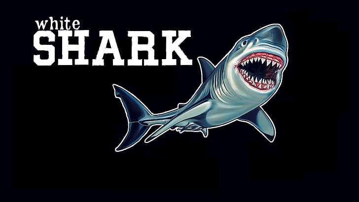 décoration murale imprimée étoiles noir et blanc, animaux, requin, blanc, bureau, dents, Fond d'écran HD