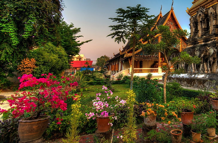 Храмове, Wat Chiang Man, Chiang Mai, Temple, Тайланд, HD тапет