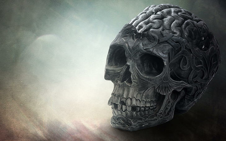 Brain Skull, teschio, cervello, Sfondo HD