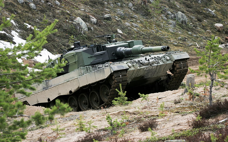 Leopard 2A5 Leopard 2A6 탱크, 녹색 및 회색 탱크, 전쟁 및 군대, 전쟁, 군대, 탱크, HD 배경 화면