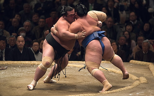 iki erkek mavi ve siyah sumo kıyafeti, spor, kavga, sumo, HD masaüstü duvar kağıdı HD wallpaper