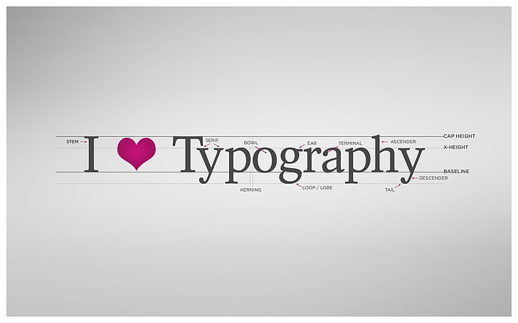 I Love Typography text, simple, typography, artwork, white, love, digital art, simple background, gray, heart, gray background, HD wallpaper