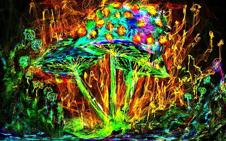carta da parati fungo multicolore, fungo, colorato, psichedelico, Sfondo HD
