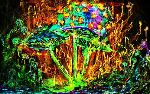 wallpaper jamur warna-warni, jamur, warna-warni, psychedelic, Wallpaper HD HD wallpaper