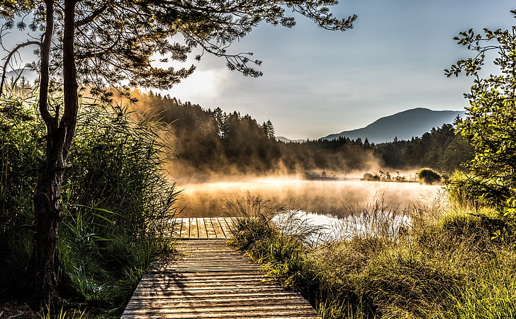 Egelsee, Lake in Carinthia, Austria, brown wooden dock, Nature, Landscape, lake, carinthia, austria, HD wallpaper