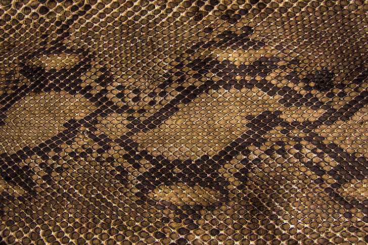 patrón de piel de serpiente marrón y negra textil, serpientes, textura, escamas, cuero, Fondo de pantalla HD