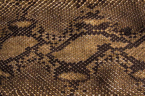patrón de piel de serpiente marrón y negra textil, serpientes, textura, escamas, cuero, Fondo de pantalla HD HD wallpaper