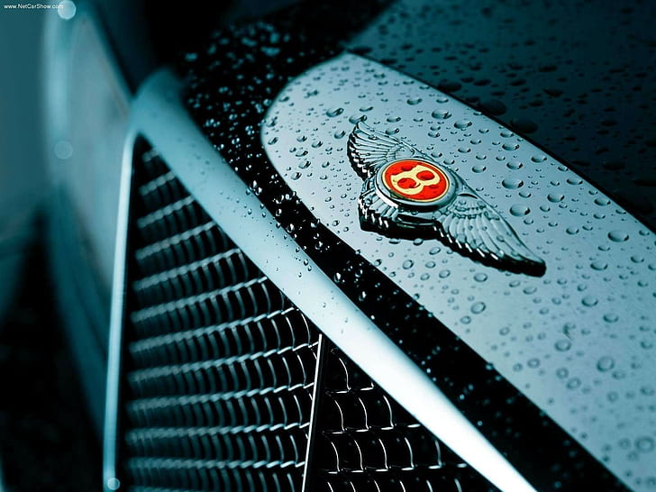Bentley Macro Water Drops HD, coches, macro, agua, gotas, bentley, Fondo de pantalla HD