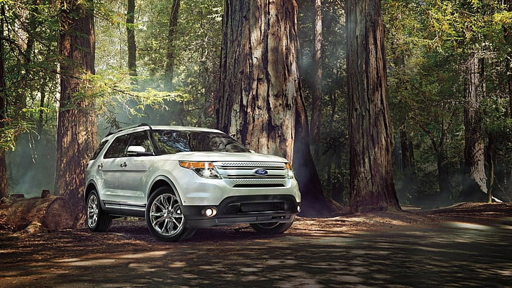 Ford, car, Ford Explorer, forest, tree trunk, white cars, HD wallpaper