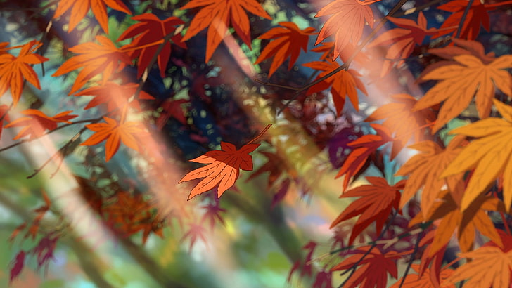 gelbe und rote Blütenblätter, Makoto Shinkai, Kimi no Na Wa, HD-Hintergrundbild
