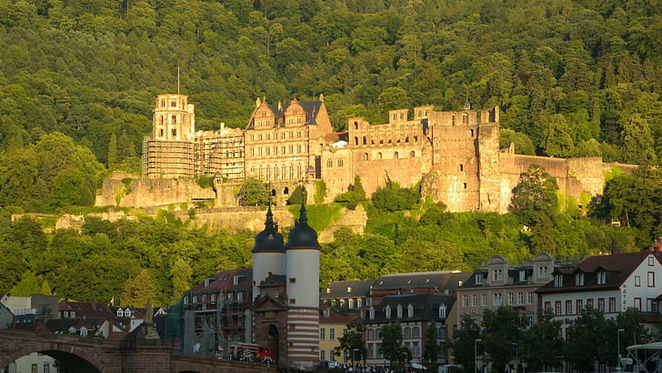 Châteaux, château heidelberg, Fond d'écran HD