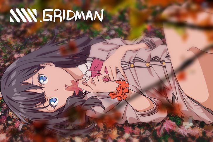 SSSS.GRIDMAN, anime, anime girls, Takarada Rikka, HD wallpaper