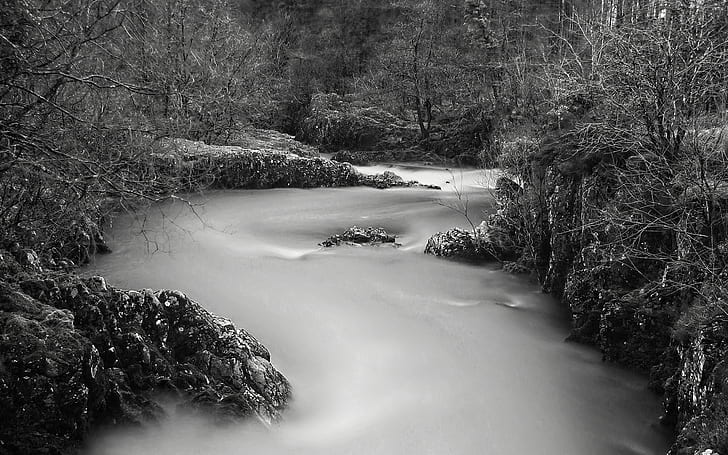 Fluss BW HD, Natur, bw, Fluss, HD-Hintergrundbild