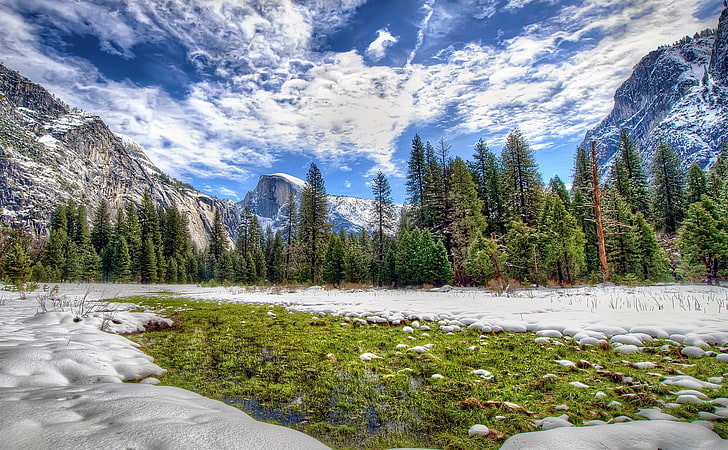 나무와 산맥, 요세미티 국립 공원, 캘리포니아, 시에라 네바다, HDR, HD 배경 화면