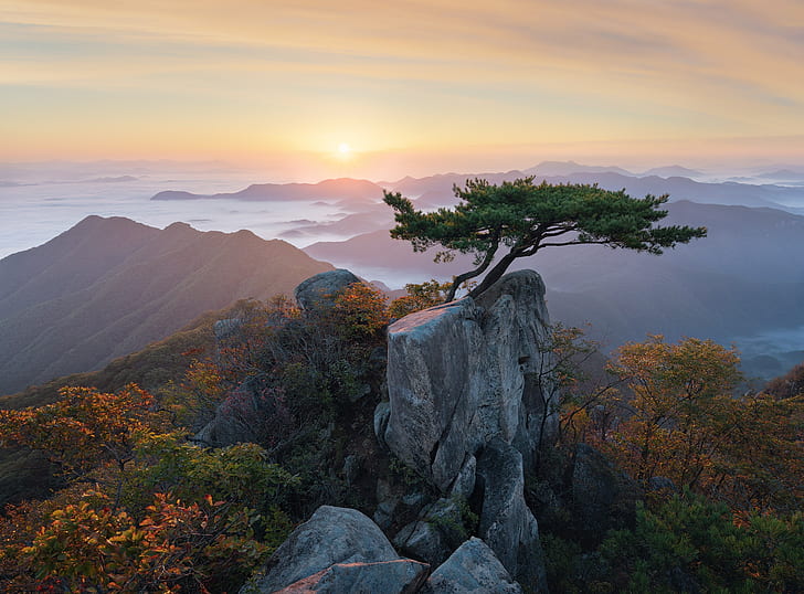 облаци, пейзаж, планини, природа, дърво, зора, сутрин, Корея, бор, резерват, бонсай, HD тапет
