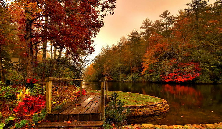 Sungai di musim gugur, badan air dikelilingi oleh pohon, indah, warna, hutan, pohon, air, dedaunan, sungai, musim, musim gugur, indah, jatuh, tenang, jatuh, bagus, daun, Wallpaper HD
