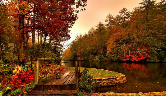 Sungai di musim gugur, badan air dikelilingi oleh pohon, indah, warna, hutan, pohon, air, dedaunan, sungai, musim, musim gugur, indah, jatuh, tenang, jatuh, bagus, daun, Wallpaper HD HD wallpaper