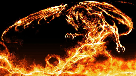 Dragon Fuego, 3d and abstract, HD wallpaper HD wallpaper