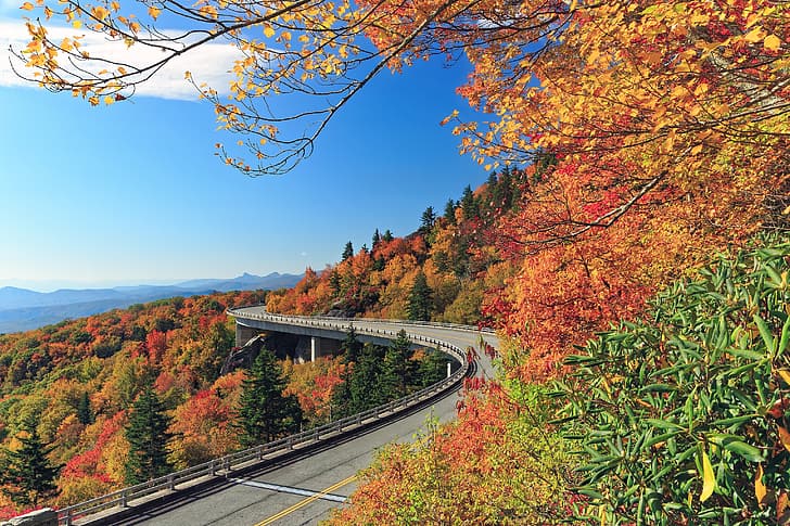 road, autumn, forest, trees, mountains, North Carolina, Blue Ridge Mountains, Linn Cove Viaduct, Blue ridge, The Lynn Cove Viaduct, HD wallpaper