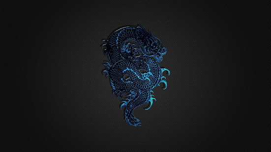 Resumen azul negro minimalista dragones fondo de fibra de carbono 1920x1080 Arte minimalista HD Art, azul, abstracto, Fondo de pantalla HD HD wallpaper