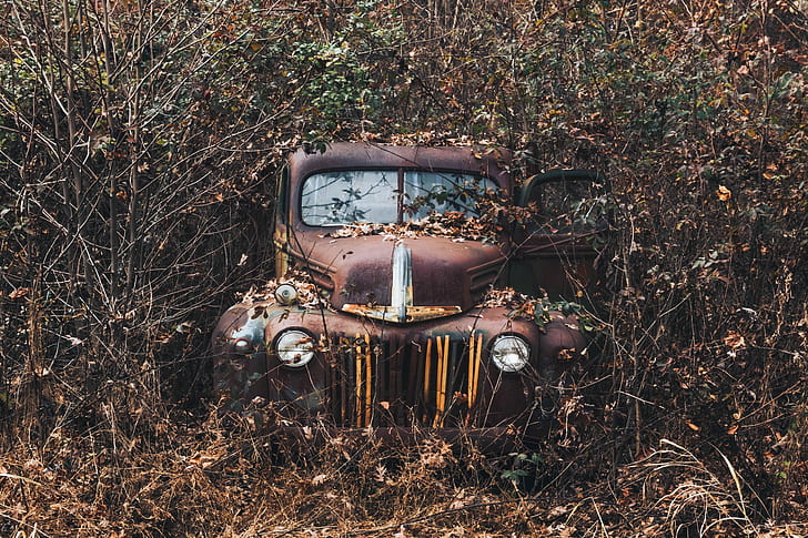 old, rust, plants, car, vehicle, wreck, HD wallpaper