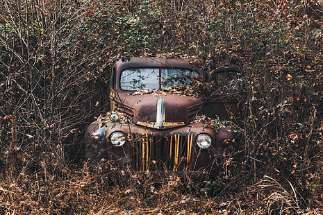 viejo, óxido, plantas, coche, vehículo, ruina, Fondo de pantalla HD HD wallpaper
