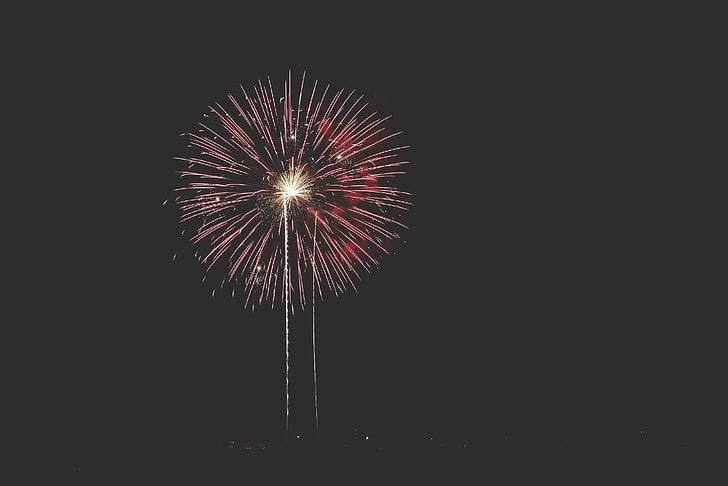 red palm firework, salute, holiday, fireworks, HD wallpaper