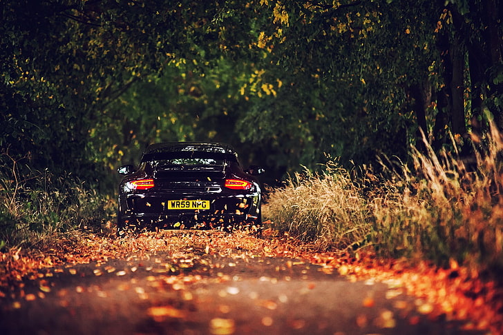 car, Porsche GT3, black cars, fall, leaves, road, depth of field, HD wallpaper