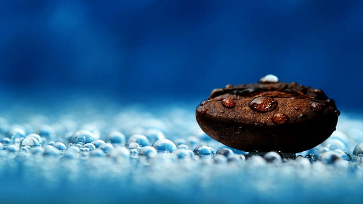 Coffee Bean, bean, drops, coffee, brown, blue, macro, 3d and abstract, HD wallpaper