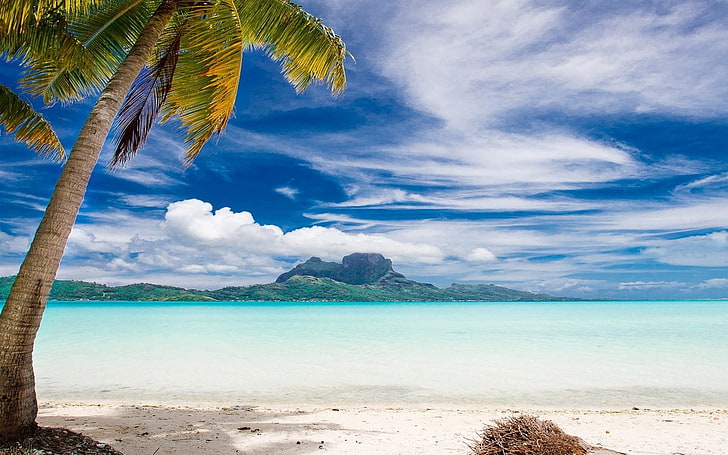 orilla del mar cerca de cocotero, paisaje, naturaleza, Bora Bora, palmeras, playa, mar, tropical, isla, verano, montañas, nubes, arena, vacaciones, Fondo de pantalla HD
