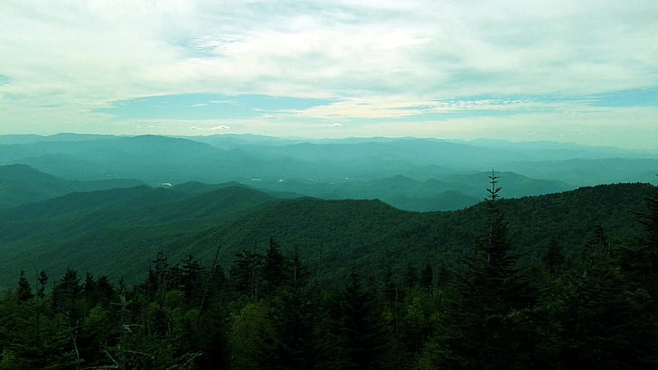 montanhas esfumaçadas tennessee floresta paisagem de montanha, HD papel de parede
