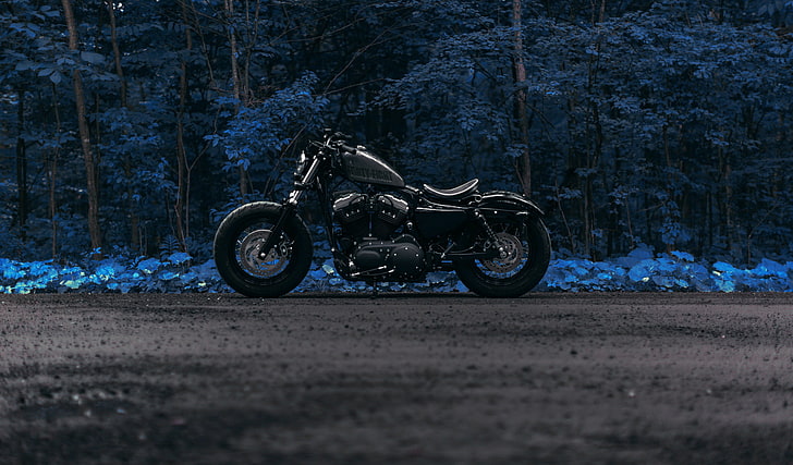 road, forest, Harley Forty Eight, HD wallpaper