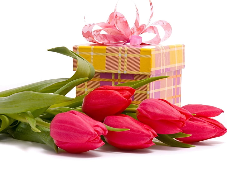 red flowers and yellow giftbox, tulips, flowers, bouquets, gift, bow, HD wallpaper