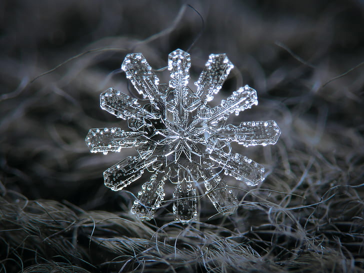Schneeflocken, detailliert, Kristall, mikroskopisch, HD-Hintergrundbild