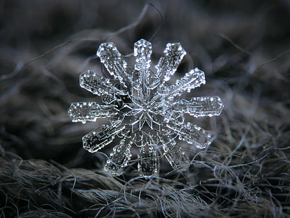 Schneeflocken, detailliert, Kristall, mikroskopisch, HD-Hintergrundbild HD wallpaper