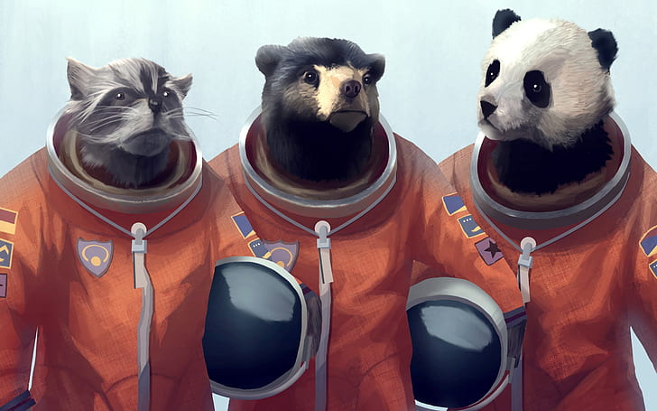 animals panda bears creative artwork bears cosmonaut furry fandom racoon furry 2560x1600 wallpape Animals Bears HD Art , animals, panda bears, HD wallpaper