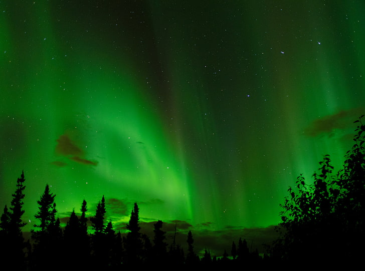Real Northern Lights, Nature, Sun and Sky, Night, Green, Aurora, auroraborealis, northernlights, HD wallpaper
