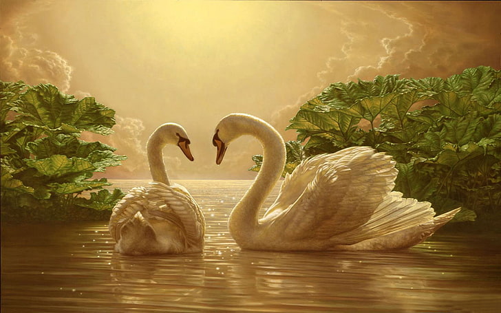 Beautiful Love Swan Two Romance Movie Wallpapers 2880×1800, HD wallpaper