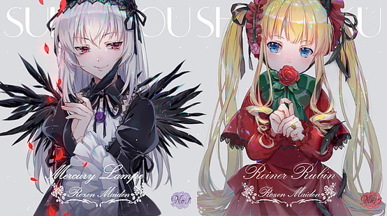 อะนิเมะ, Rozen Maiden, Shinku (Rozen Maiden), Suigintou (Rozen Maiden), วอลล์เปเปอร์ HD HD wallpaper