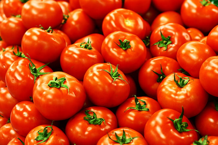 домати много, домати, домати, домати, много, зеленчуци, храна, свежест, червено, органично, HD тапет