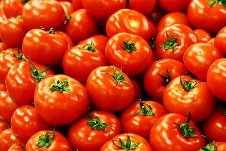 lot de tomates, tomates, tomates, tomates, beaucoup, légumes, aliments, fraîcheur, rouge, bio, Fond d'écran HD HD wallpaper