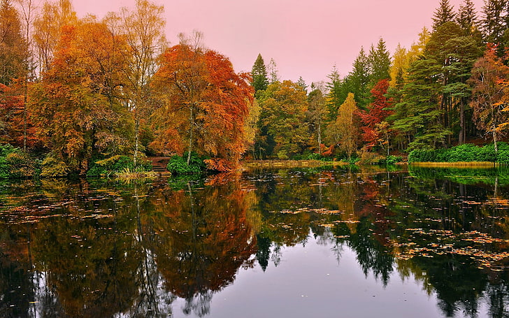 水域の壁紙の近くの赤と緑の葉の木、穏やかな水域の後ろの木、湖、自然、秋、水、木、 HDデスクトップの壁紙