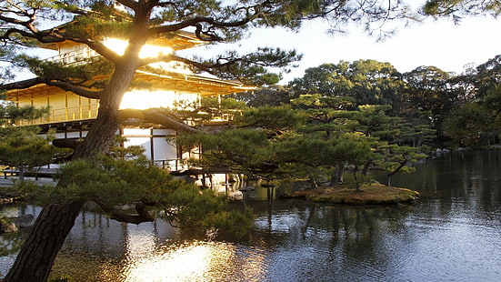 świątynia kinkaku-ji, japonia, kioto, kinkaku, kapliczki, dwór, azja, woda, drzewo, sala buddyjska, budda, pawilon, świątynia, ogród, staw, Tapety HD HD wallpaper