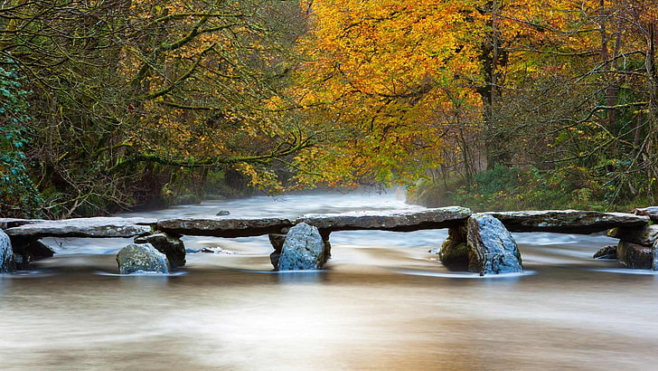 серый бетонный мост, природа, пейзаж, деревья, лес, мост, Tarr Steps, Англия, Великобритания, ручей, вода, осень, длинные выдержки, река, камни, ветка, HD обои