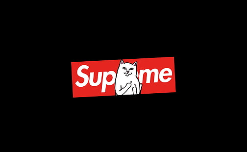 Supreme Cat, Supreme logo, Забавна, върховна, котка, HD тапет HD wallpaper