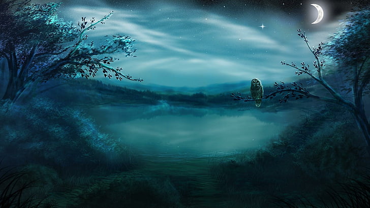 owl, night sky, night, moon, starry night, starry, stars, lake, reflected, reflection, fantasy, HD wallpaper