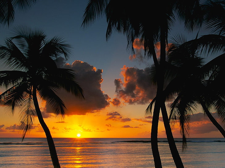 sea, horizon, clouds, palm trees, HD wallpaper