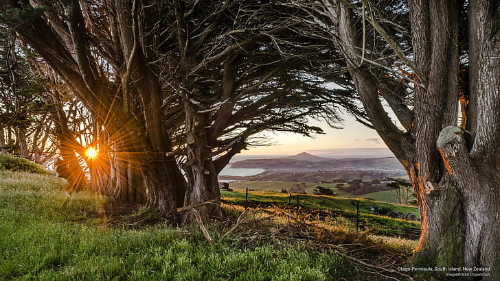 Semenanjung Otago, Pulau Selatan, Selandia Baru, Oseania, Wallpaper HD