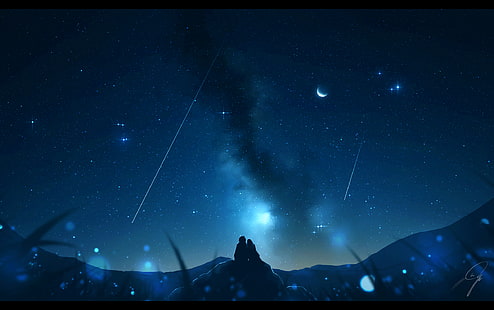 Anime, oryginał, chłopiec, dziewczyna, spadająca gwiazda, gwiaździste niebo, Tapety HD HD wallpaper